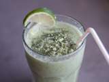 Smoothie « Tzatziki »