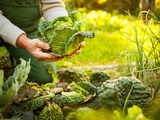 Qu’est-ce que la permaculture