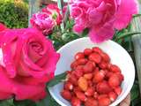 Bonheur c'est simple comme : les premières fraises du jardin