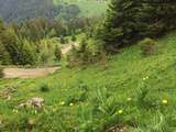 Pêle Mêle : Le bonheur c'est simple comme.... contempler un tel paysage haut savoyard