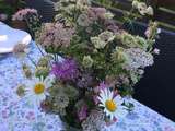 Pêle-Mêle : Le bonheur c'est simple comme ramasser des bouquets de fleurs des champs de nos montagnes