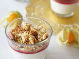 Panna cotta, coulis de fruits rouges et granola croustillant aux amandes, noix et noisettes