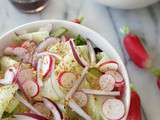 Salade concombre, radis, oignons rouges et vinaigrette asiatique