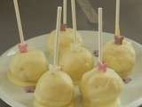 Cake pops au chocolat