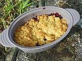 Crumble aux mures (thermomix)