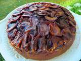 Gateau moelleux aux prunes (thermomix)