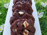 Tour en cuisine n° 388 : cookies tout chocolat (thermomix)