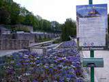 Côté jardin à Vannes (mai 2016)