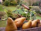 Velouté(poires, carottes) côté potager