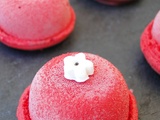 Macarons à la mousse de framboises