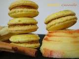 Macarons pommes cannelle