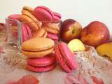 Macarons nectarine