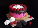 Layer cake chocolat & framboise