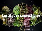 Algues comestibles