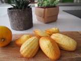 Printemps, agrumes, zeste de citron & douces madeleines