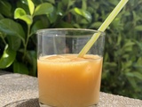 Lait végétal de graines de melon