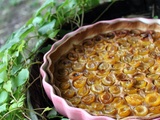 Tarte aux mirabelles crème aux speculoos