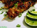 Brochettes de poulet à la citronnelle, à la lime et au gingembre