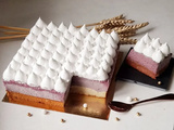 Gâteau nuage au cassis