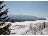 Balade du dimanche : sur le plateau des Hautes-Combes (Haut-Jura)