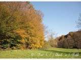 Balade du dimanche : une après midi d'automne à l'Etang des Princes à Raynans (25) pour la 100 ème balade