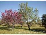 Balade du dimanche : Vacances dans le Luberon