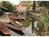 Balade estivale : l'Isle sur la Sorgue et son marché dominical