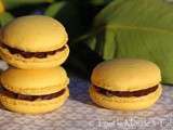 Macaron chocolat citron gingembre