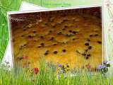 Gâteau yaourt aux pépites de chocolat