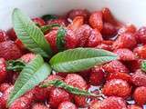 Fraises en infusion de verveine citronnelle