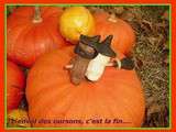 L'automne des oursons / acte 3 et fin