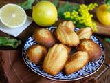 Madeleines à la bergamote