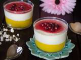 Panna cotta mangue grenade