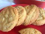 Cookies au chocolat blanc pour la plage