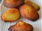 Madeleines à la vanille