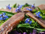 Salade de chou rouge, cresson des jardins et sardines fumées