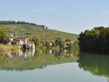 Balade sur les bords de Marne à Cumières