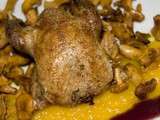 Pigeons ramiers, compote de potiron à la vanille, sauce au marsala, chanterelles