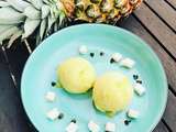 Sorbet a l'ananas