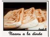 Naans à la dinde - Tour en cuisine # 41