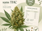 Fleur de cbd sans thc : comprendre le sujet avant de se renseigner