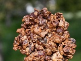 Biscuits granola