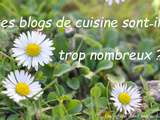 Blogs de cuisine