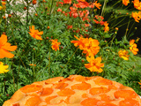 Gâteau renversé aux abricots