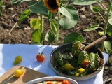 Haricots verts au parmesan