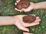 Madeleines tout chocolat