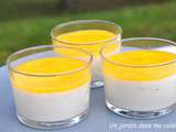 Panacotta mangue fraîche