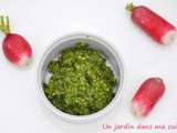 Pesto de fanes