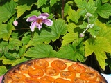 Tarte abricots