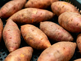 Conservation des Patates Douces : Astuces Et Erreurs À Éviter